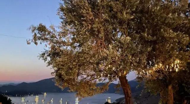 Selimiye Manzara Evim