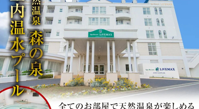 Номер Standard Spa Resort LiVEMAX