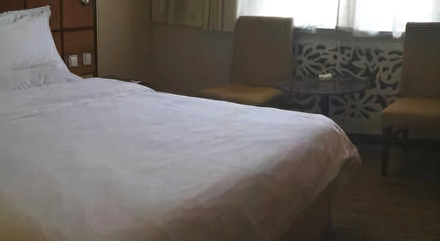 Pai Hotel （Puyang Daqing Road store)