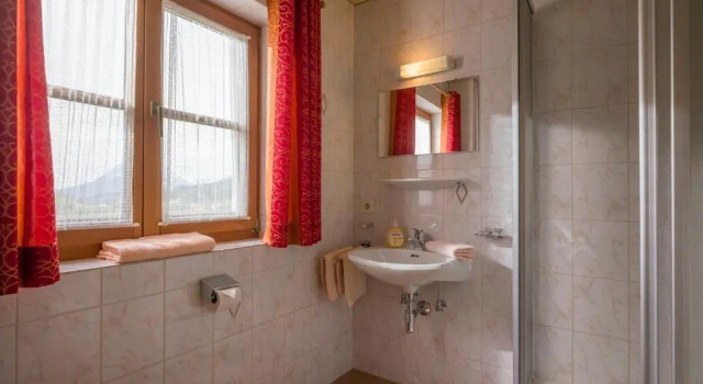 Двухместный номер Standard с балконом Wanishof