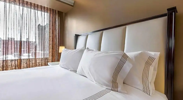 Номер Standard Curtiss Hotel, an Ascend Collection Hotel