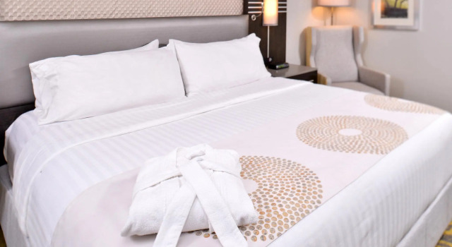 Двухместный номер Standard Holiday Inn Dallas-Richardson by IHG