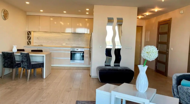 Апартаменты Arunes Apartments - Daukanto