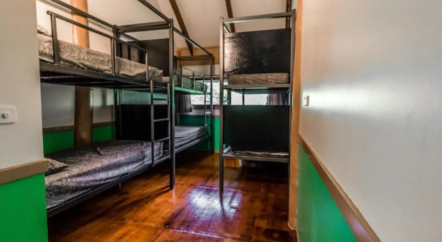 Кровать в общем номере Jackaroo Treehouse Rainforest Retreat