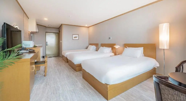 Номер Deluxe J View Hotel