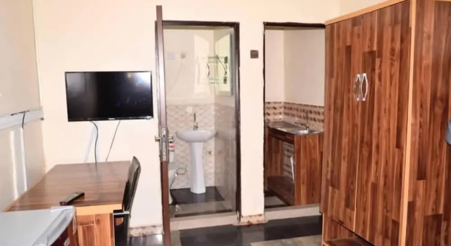 Номер Executive Big Pepper Apartment