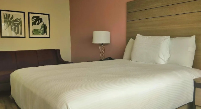 Двухместный люкс Arya Inn and Suites