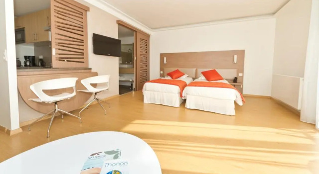 Двухместный полулюкс Villa Thermae Thonon-Les-Bains