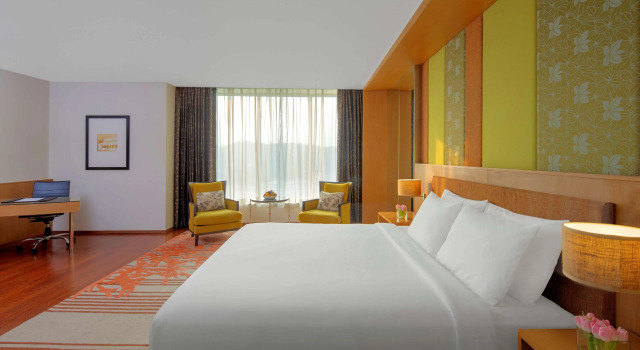 Полулюкс Radisson Blu Hotel Guwahati