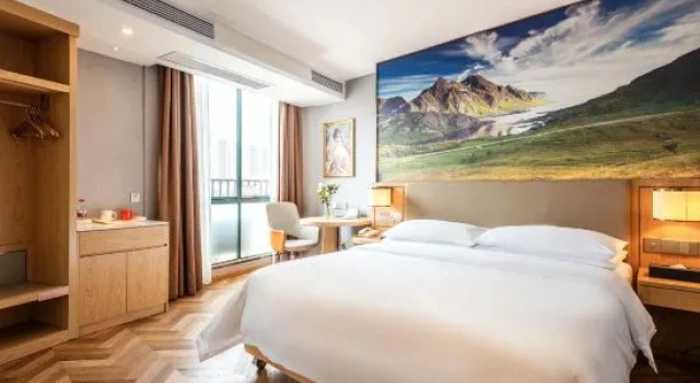 Люкс Deluxe Vienna Classic Hotel (Xinxing Yanjiang South Road)