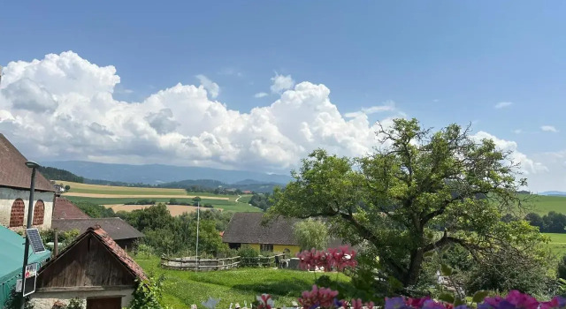 Gasthof Winkelwirt, Rezervați Hotel Althofen Central Carinthia