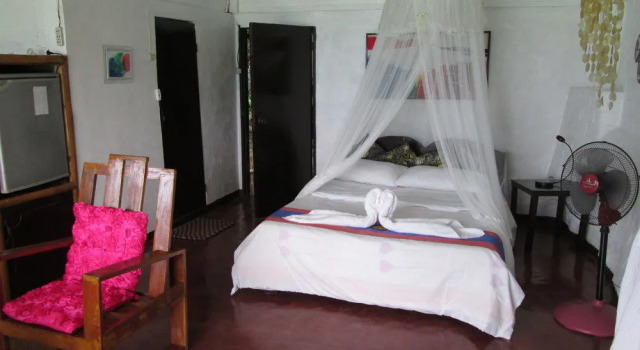 Monkey House