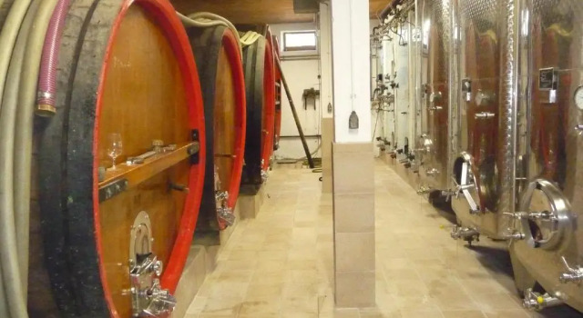 Vignobles Frey-Sohler, Book Lejlighed Lejligheder i Alsace, Lejlighed