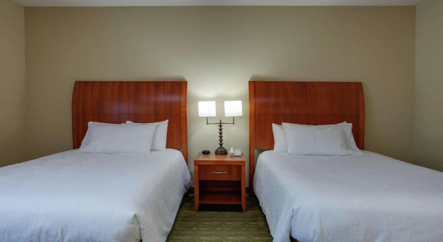 Четырёхместный номер Standard Hilton Garden Inn at PGA Village/Port St. Lucie