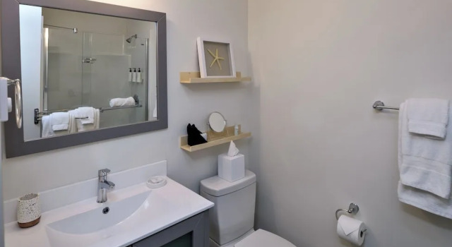 Люкс Deluxe Lakeside Villa & Nordic Spa