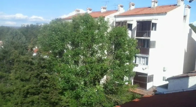 Apartment Danijela
