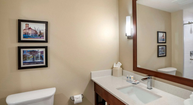 Двухместный номер Standard Comfort Inn & Suites Harrisonburg