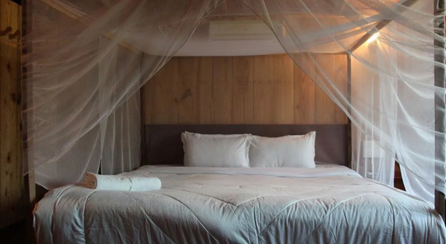 Neptune Point Premium Cottages, Book Hotel Hotels in Goa with a Pool, Swimming Pool