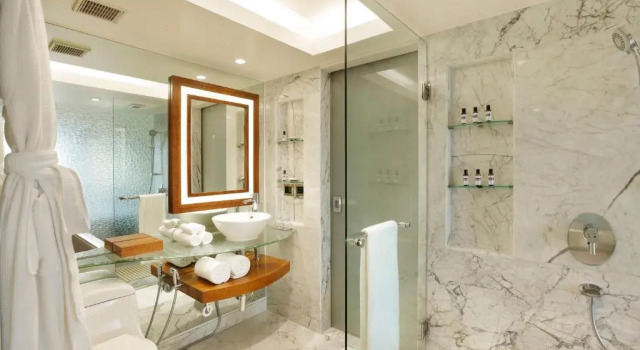 Двухместный номер Hyatt Hyatt Regency Delhi