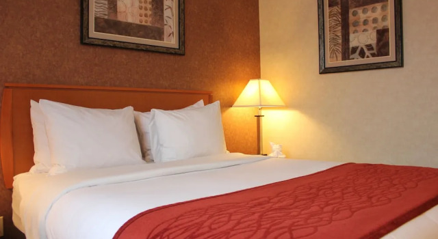 Номер Standard Bellerose Inn