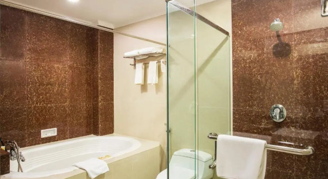 Полулюкс Swiss-Belhotel Merauke