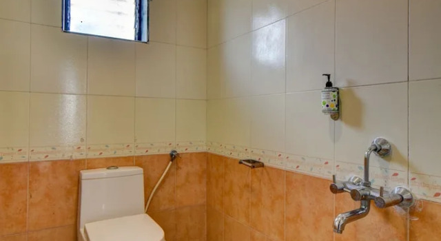 Номер Deluxe Hotel Silver Inn