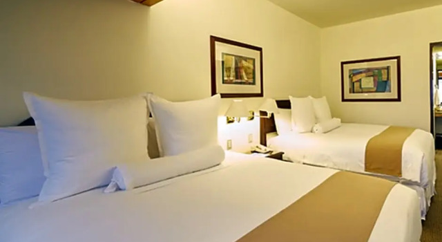 Номер Standard Thunderbird Hotels J.Pardo