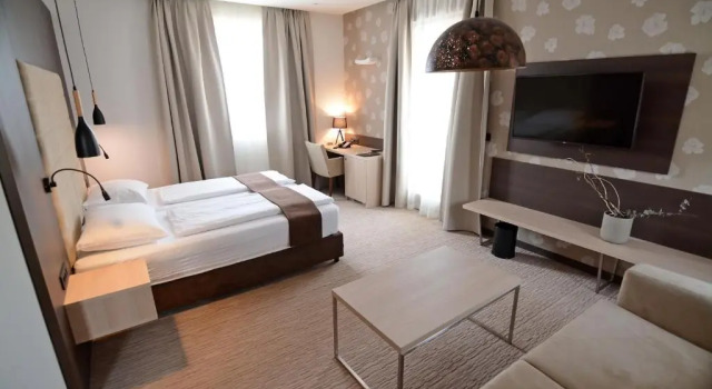 Двухместный номер Standard Hotel Gallus