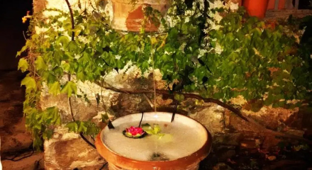 Domaine D'ostriconi-l'agriate Café, Varaa Hotelli Palasca Korsika