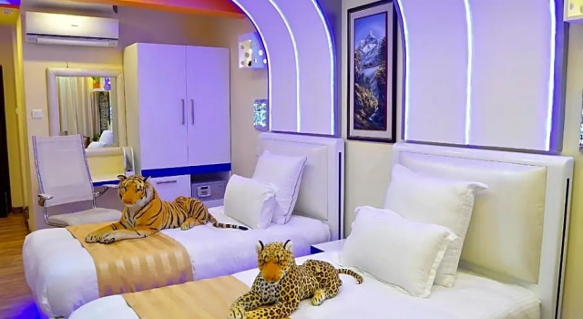 Номер Superior Royal Penguin Boutique Hotel & Spa
