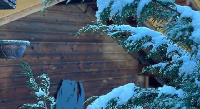 Chalet de l'Ours : 4 étoiles-spa-proche des pistes