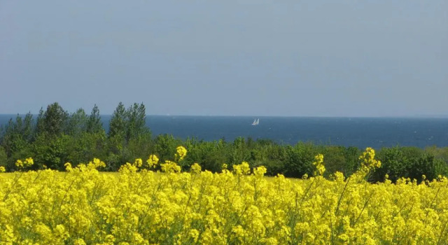 Апартаменты Leuchtturm am Ostseestrand - ABC56