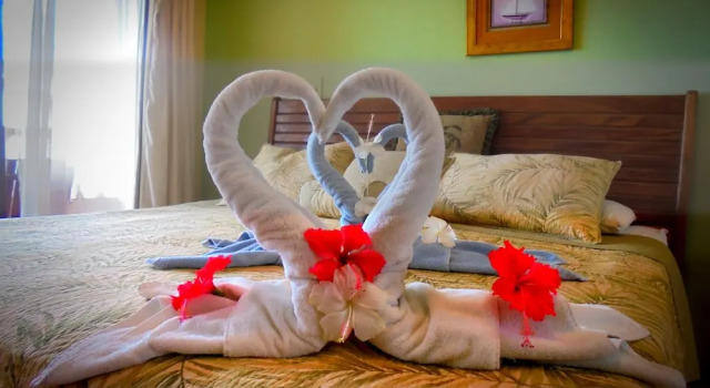 Номер Standard Hotel Delfin Playa Bejuco