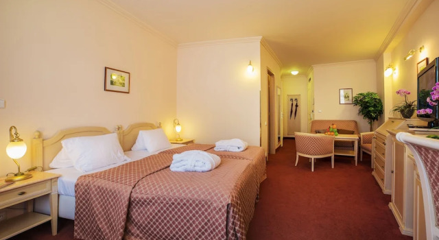 Двухместный номер Deluxe с балконом Interhotel Central