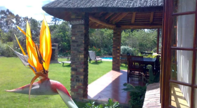 Шале Superior Coral Tree Cottages