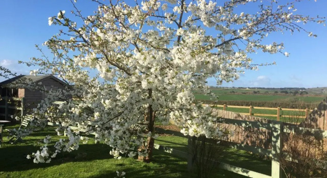 Appartement Croft View