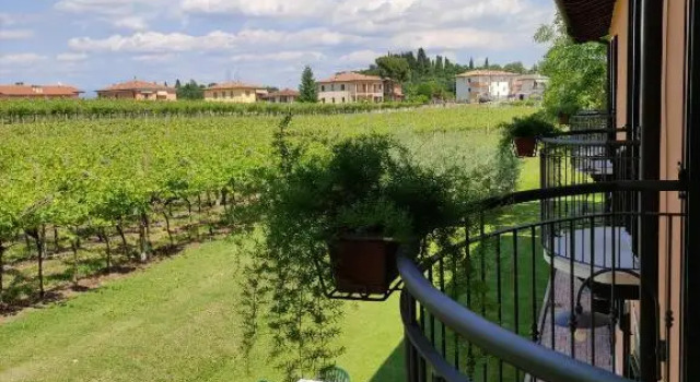 Номер Economy Agriturismo La Vigna