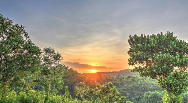 Ayu Hill Bungalow