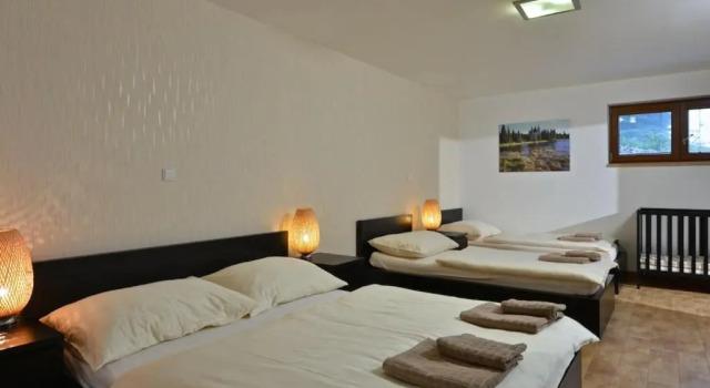 Апартаменты c 1 комнатой Apartmány 294