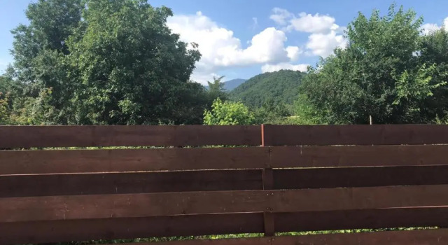 Номер Standard Green House Inn