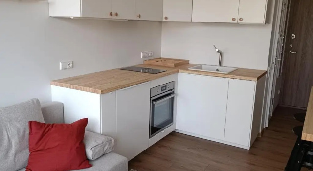 Апартаменты Stylish Studio in Central Vilnius
