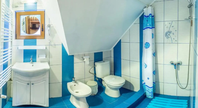 Трёхместный номер Standard Pensiunea Casa Verde Bucuresti