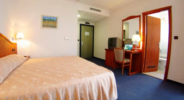Одноместный номер Standard с балконом и с видом на парк Hotel Villa Marija