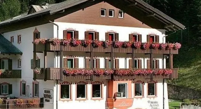 Hotel Alpino Plan, Забронировать Отель Отели Сельва-ди-Валь-Гардена 3 звезды, рядом с Подъемник 84 Чампиной 2254м, 3*