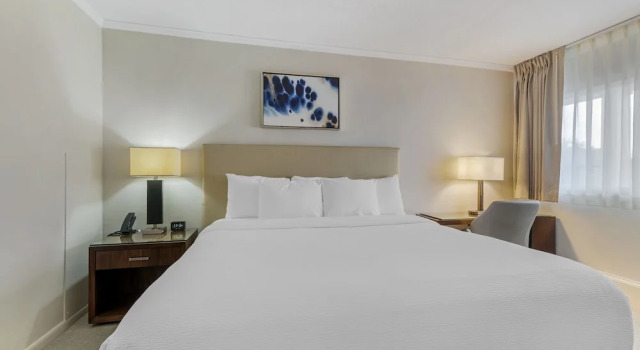 Двухместный номер Standard с видом на бассейн Downtown Dover Inn