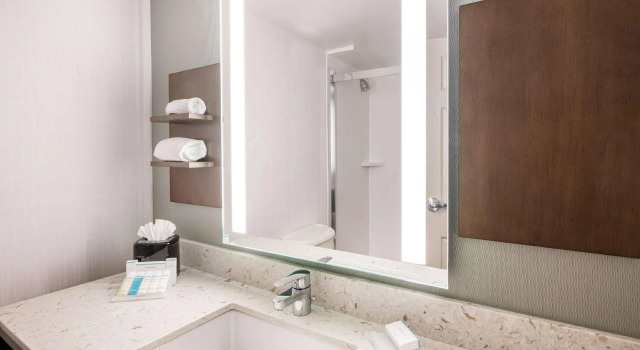 Четырёхместный номер Standard Hilton Garden Inn BWI Airport