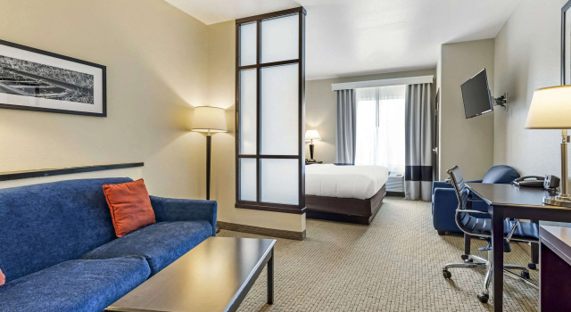 Двухместный люкс Comfort Suites Palestine