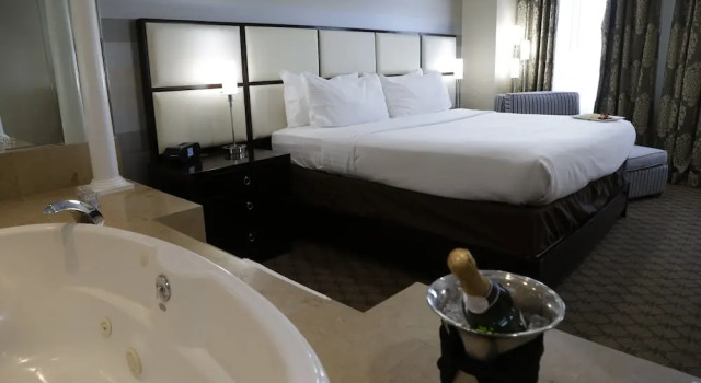 Люкс c 1 комнатой Holiday Inn Plainview-Long Island by IHG