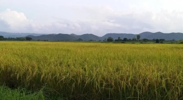 Baan Saun Homestay by Lamyai Khunmae, Забронировать Отель Бан-Тхи Lamphun Province