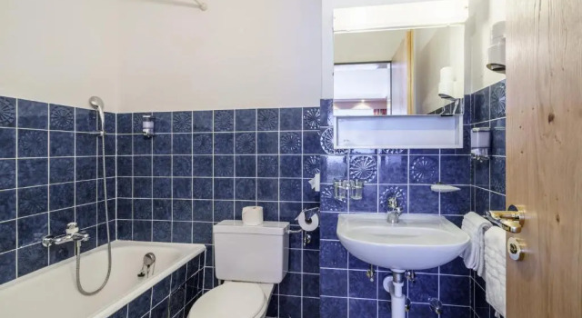 Номер Economy Hotel Alpenroyal